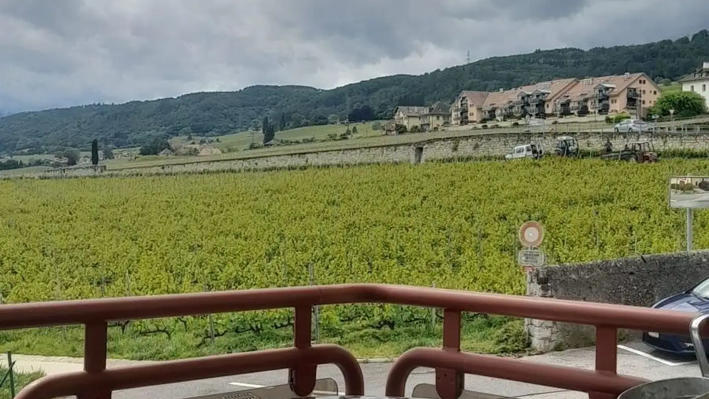 Appartement à louer - Route De La Versoix 6b, 1185 Mont-sur-Rolle - Photo 3