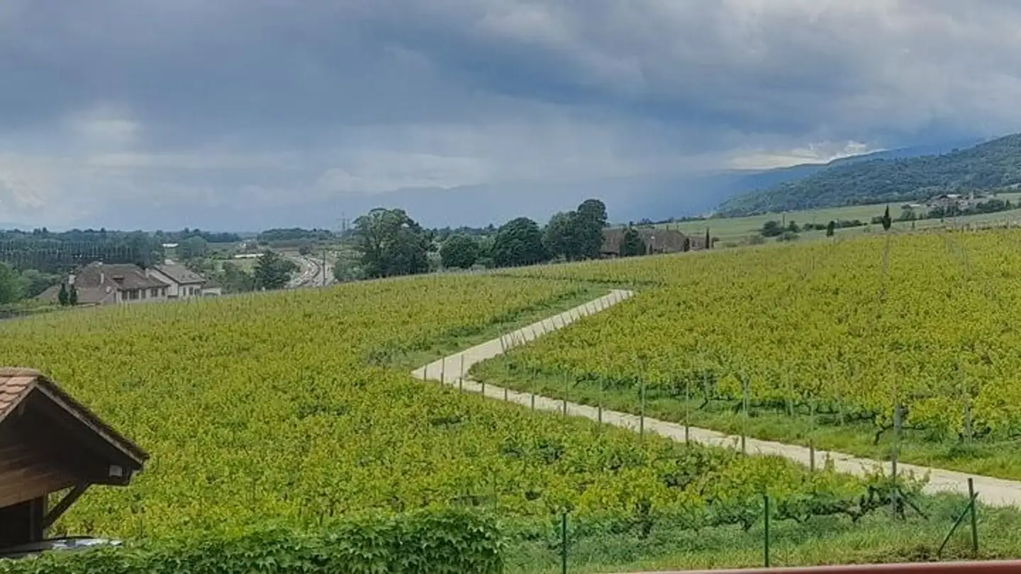 Appartement à louer - Route De La Versoix 6b, 1185 Mont-sur-Rolle - Photo 4