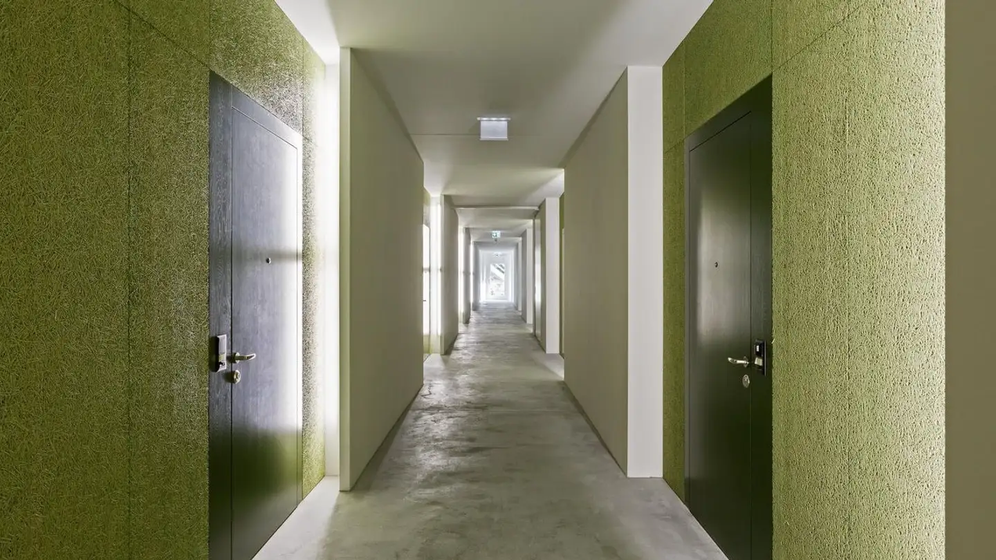 Loft in affitto - Othmar-Blumer-Strasse, 8427 Freienstein - Photo 4