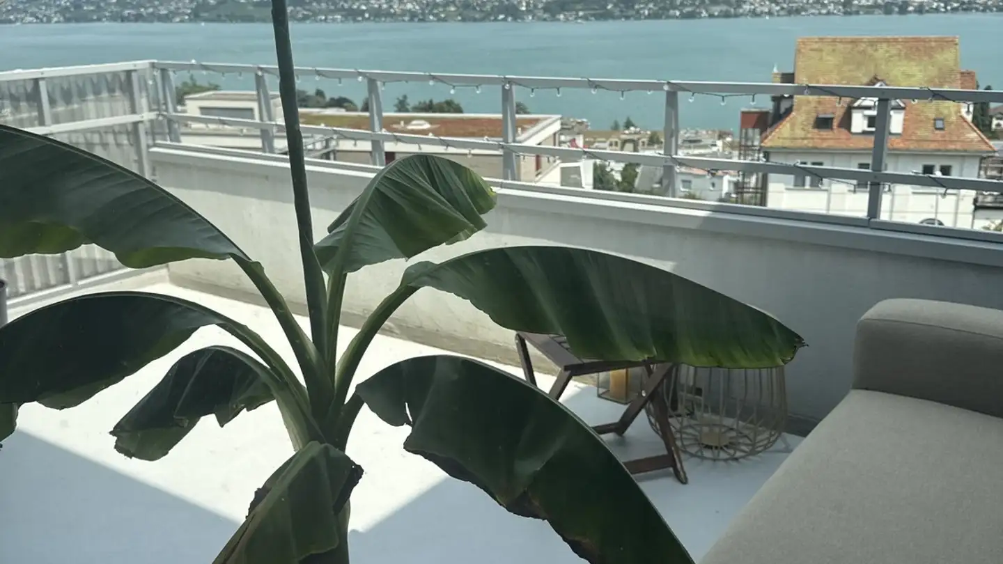 Appartement meublé à louer - 8810 Horgen - Photo 2