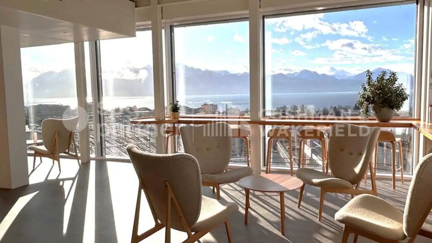 Spazio ufficio in affitto - Rue Tronchin 17, 1202 Genève - Foto 2