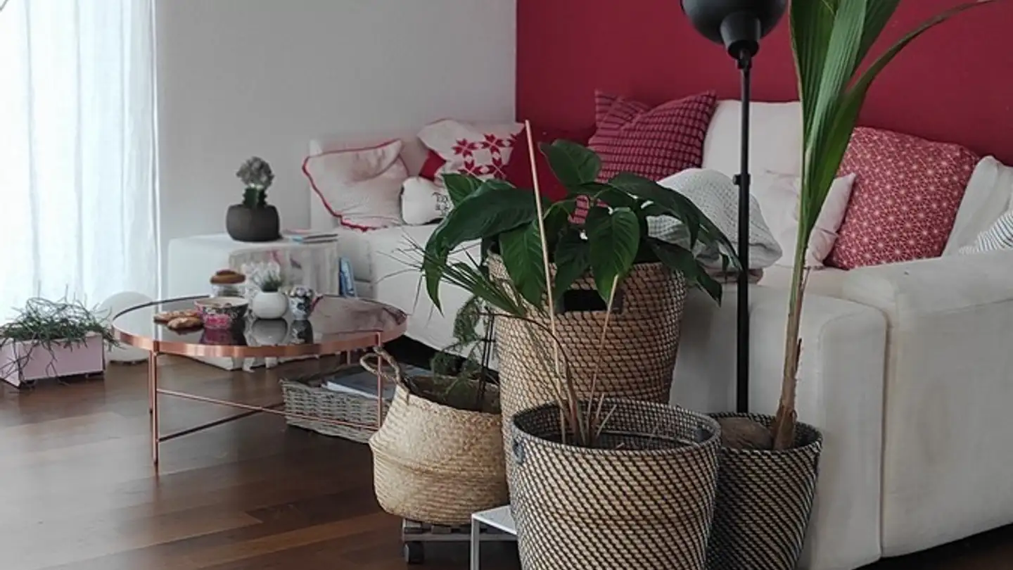 Chambre à louer - Sommertal 1206, 9103 Schwellbrunn - Photo 4