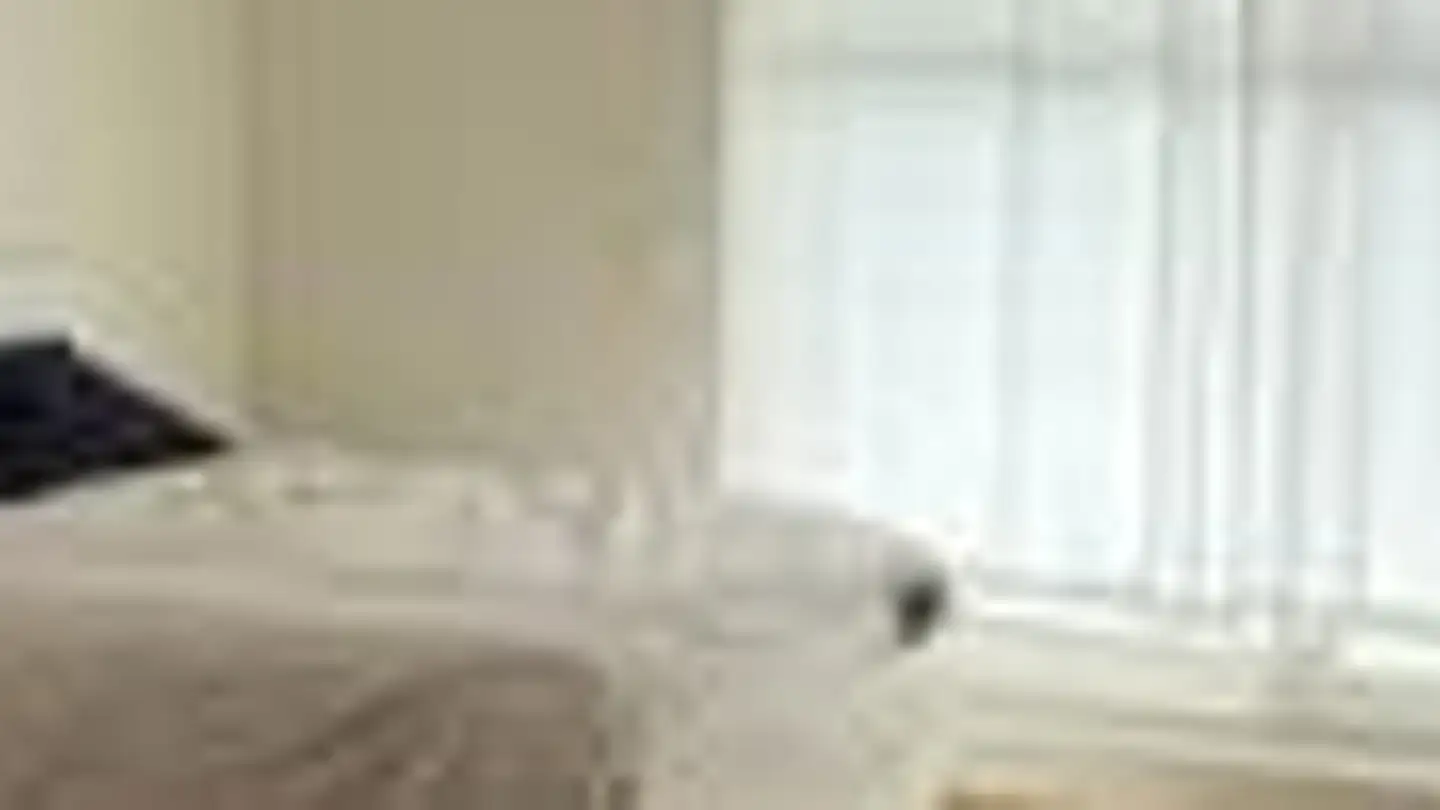 Penthouse for rent - Chemin Du Curé- Desclouds, 1226 Thônex - Photo 3