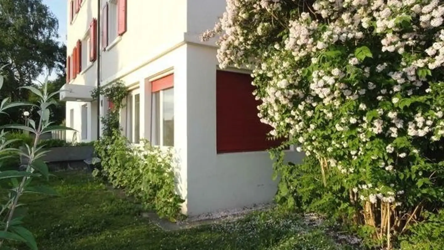 Appartamento in affitto - Schulstrasse 4, 5442 Fislisbach - Foto 2