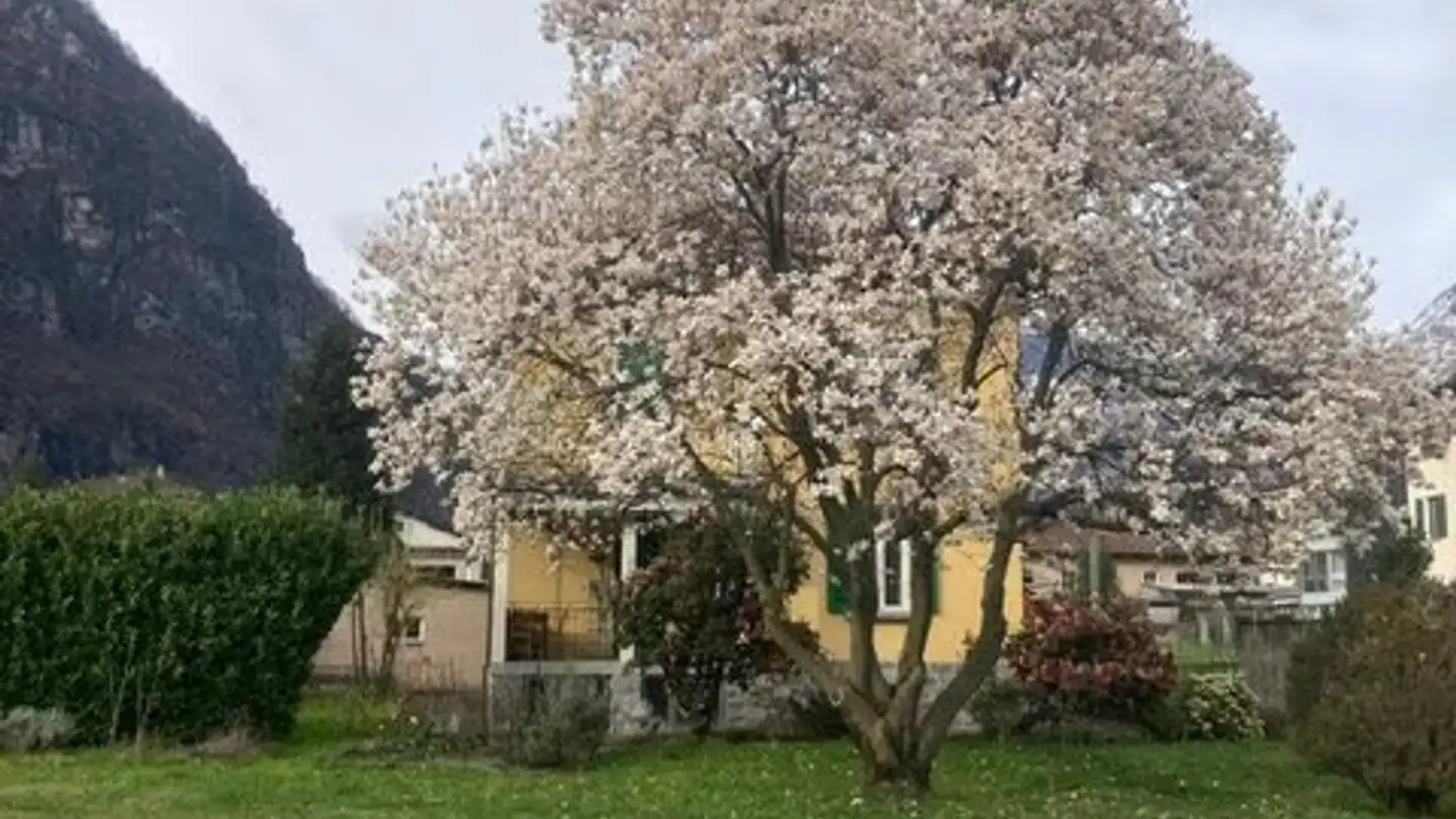Single house for sale - Via Case Sulgoni 40, 6710 Biasca - Photo 4