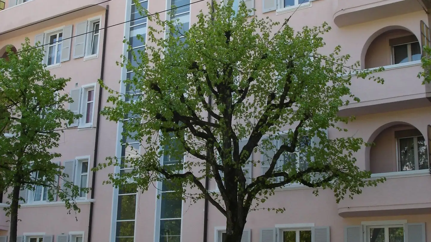 Duplex à louer - Rue Du Général-Dufour / General-Dufour-Strasse 160, 2502 Biel/Bienne