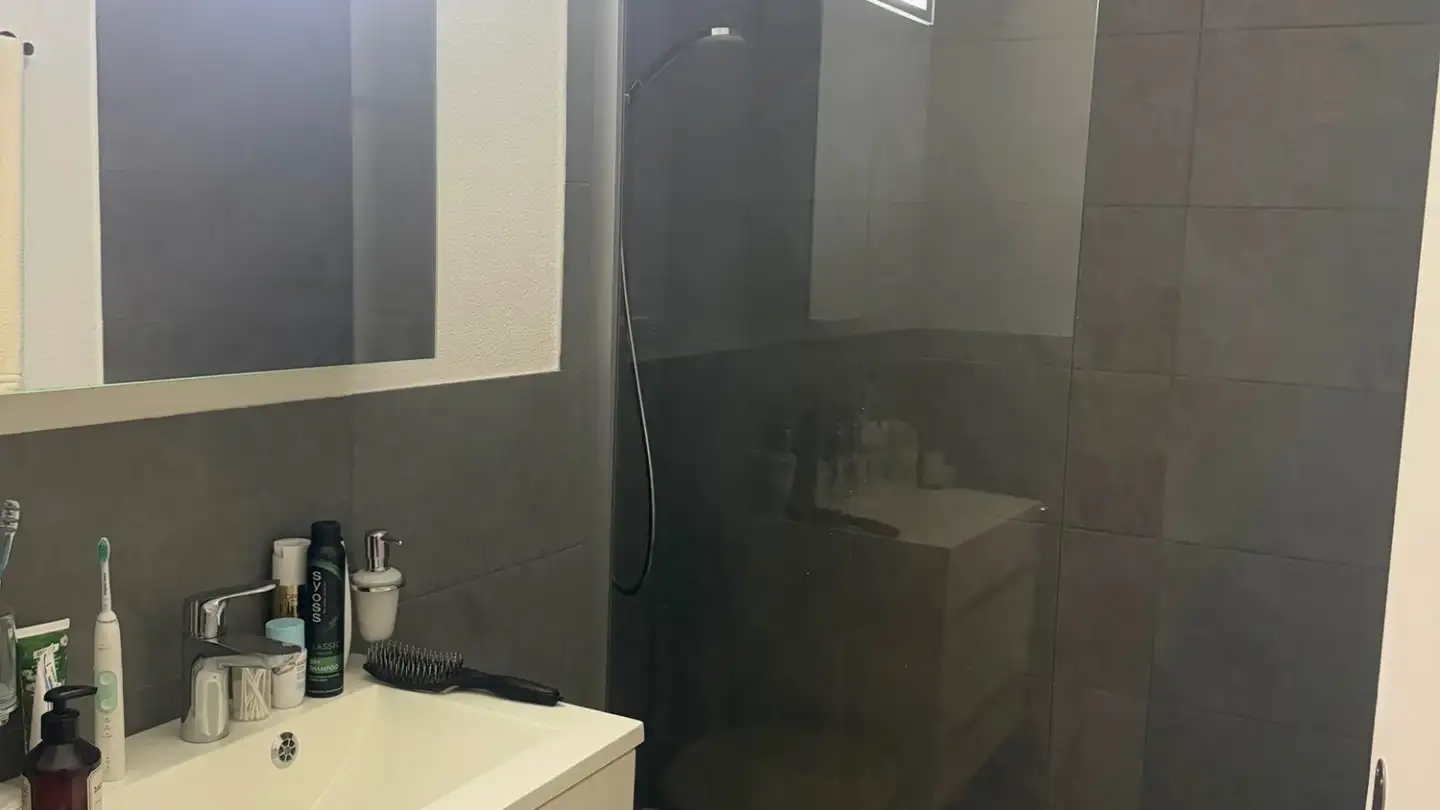 Wohnung mieten - Limmattalstrasse 51, 8954 Geroldswil - Foto 2