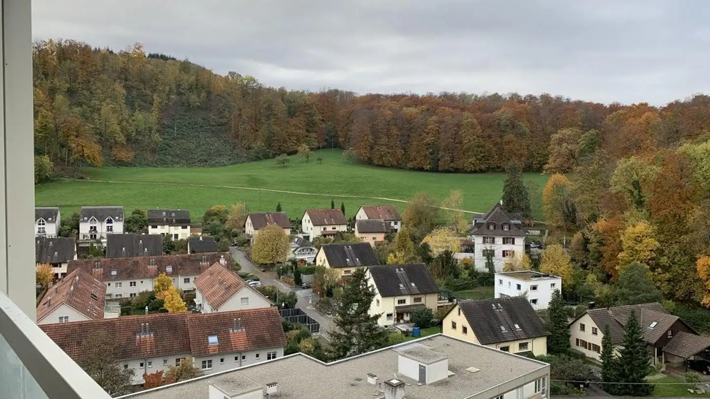 Appartamento in affitto - Muttenzerstrasse 89, 4133 Pratteln - Photo 3