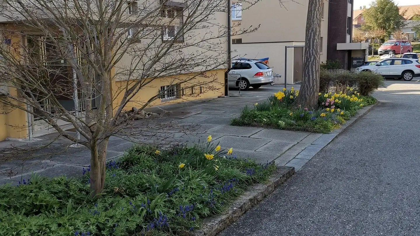 Appartamento in affitto - Wiesenstrasse 5, 4922 Bützberg