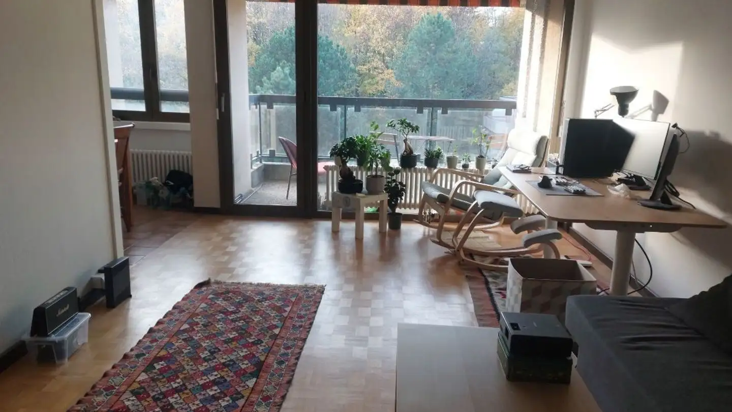 Wohnung mieten - Chemin Du Stand 17, 1024 Ecublens VD