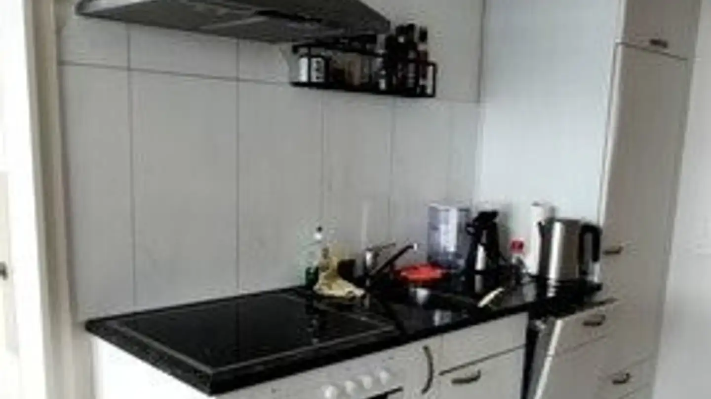 Furnished apartment for rent - 3048 Worblaufen - Photo 3