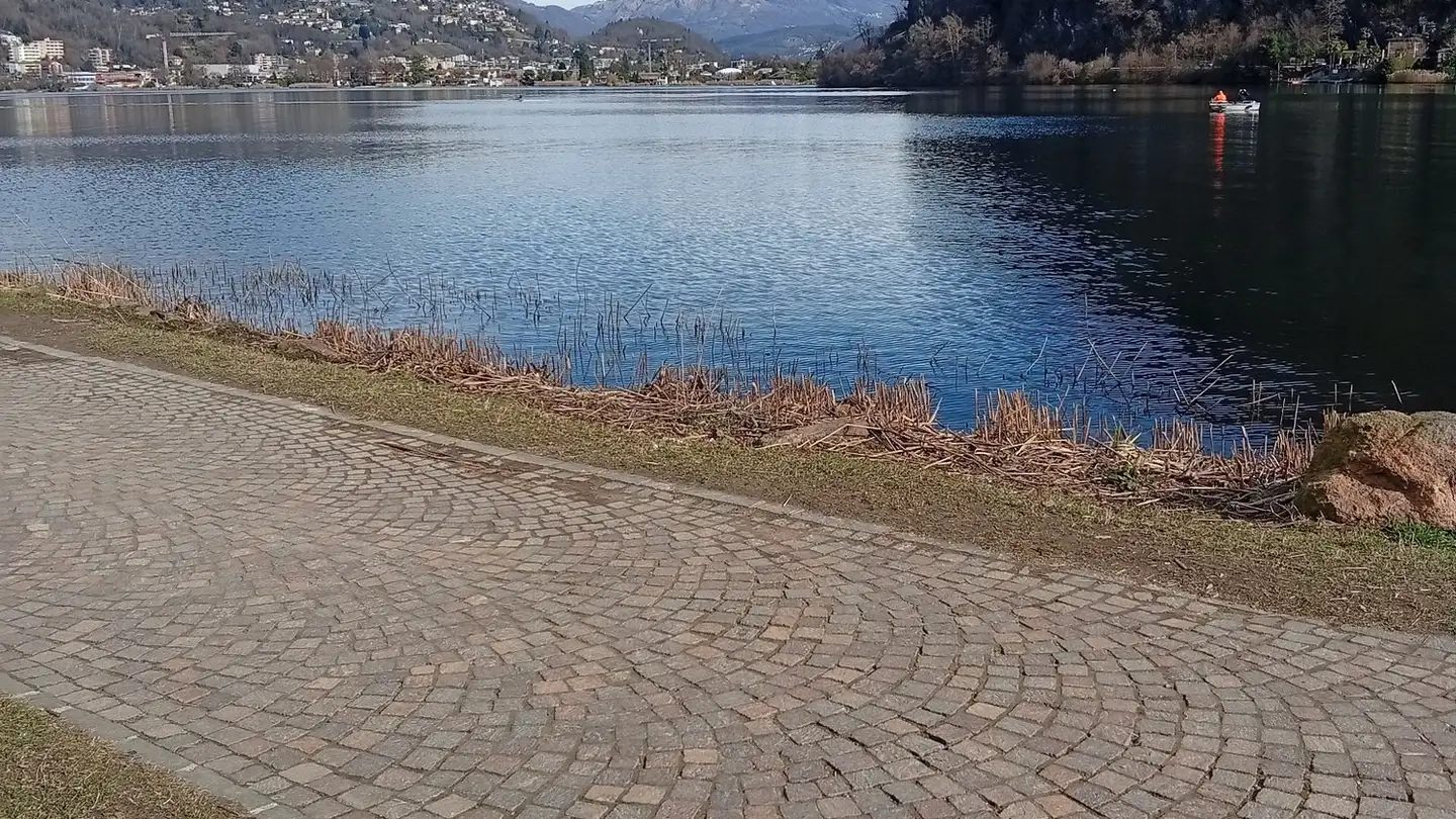 Maison individuelle à vendre - Vicolo Concordia, 6932 Breganzona - Photo 3