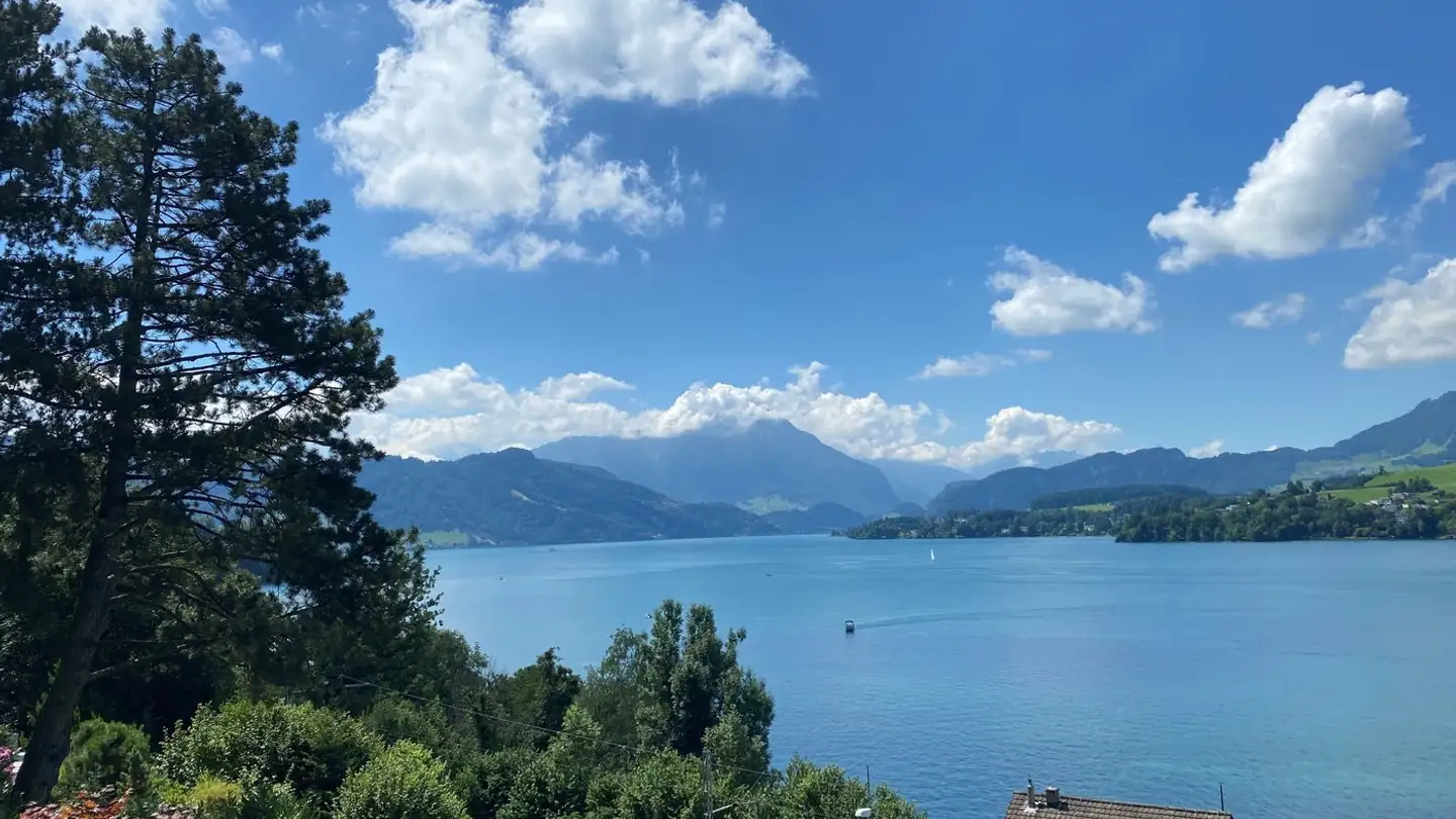 Appartement à louer - Salzfassstrasse 8a, 6006 Luzern