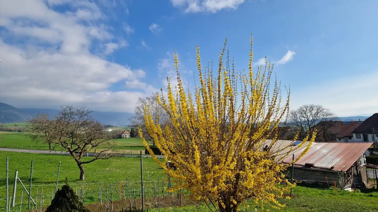 Apartment for sale - 1439 Rances