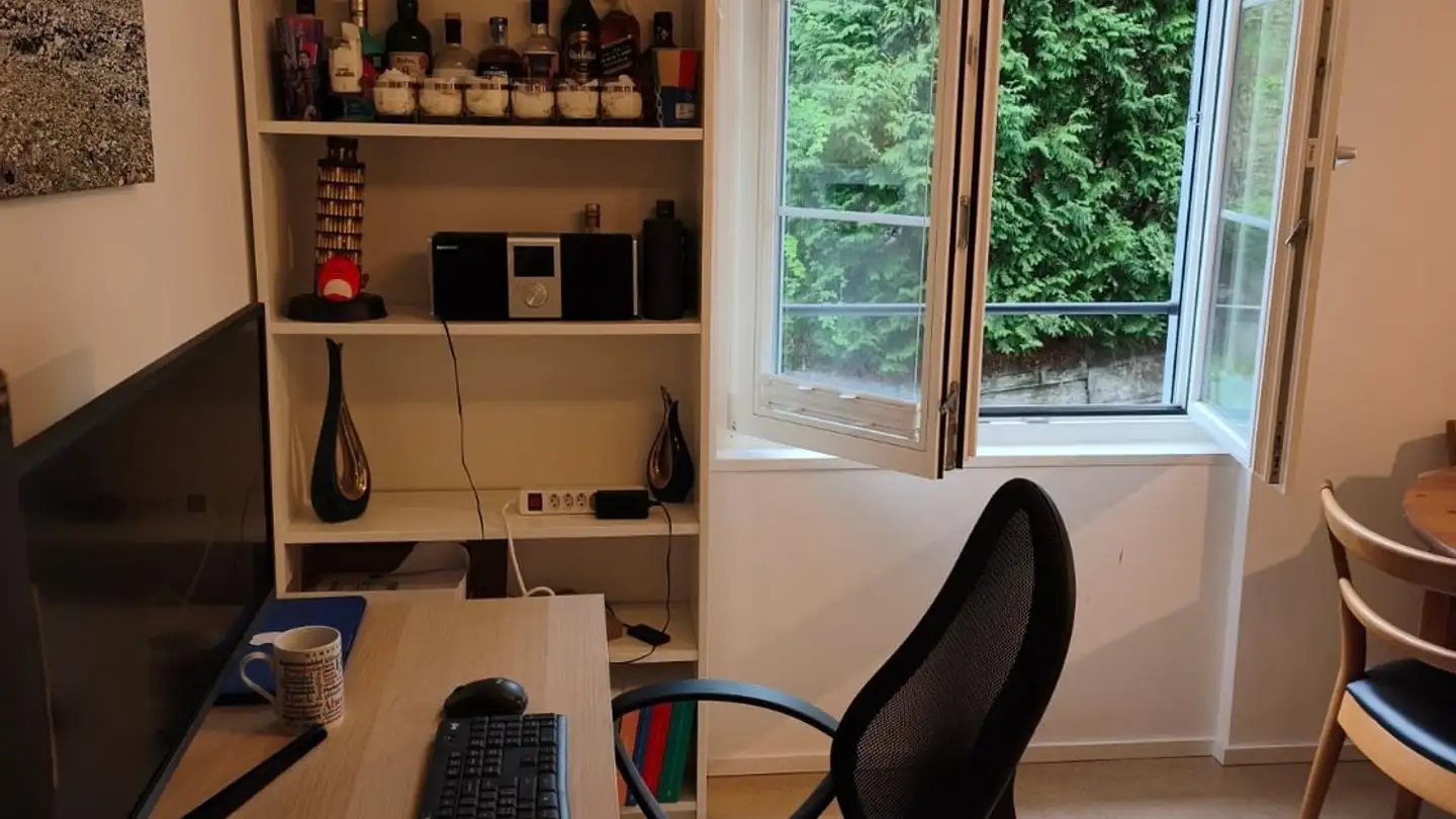 Apartment for rent - Tigerbergstrasse 2, 9000 St. Gallen - Photo 3