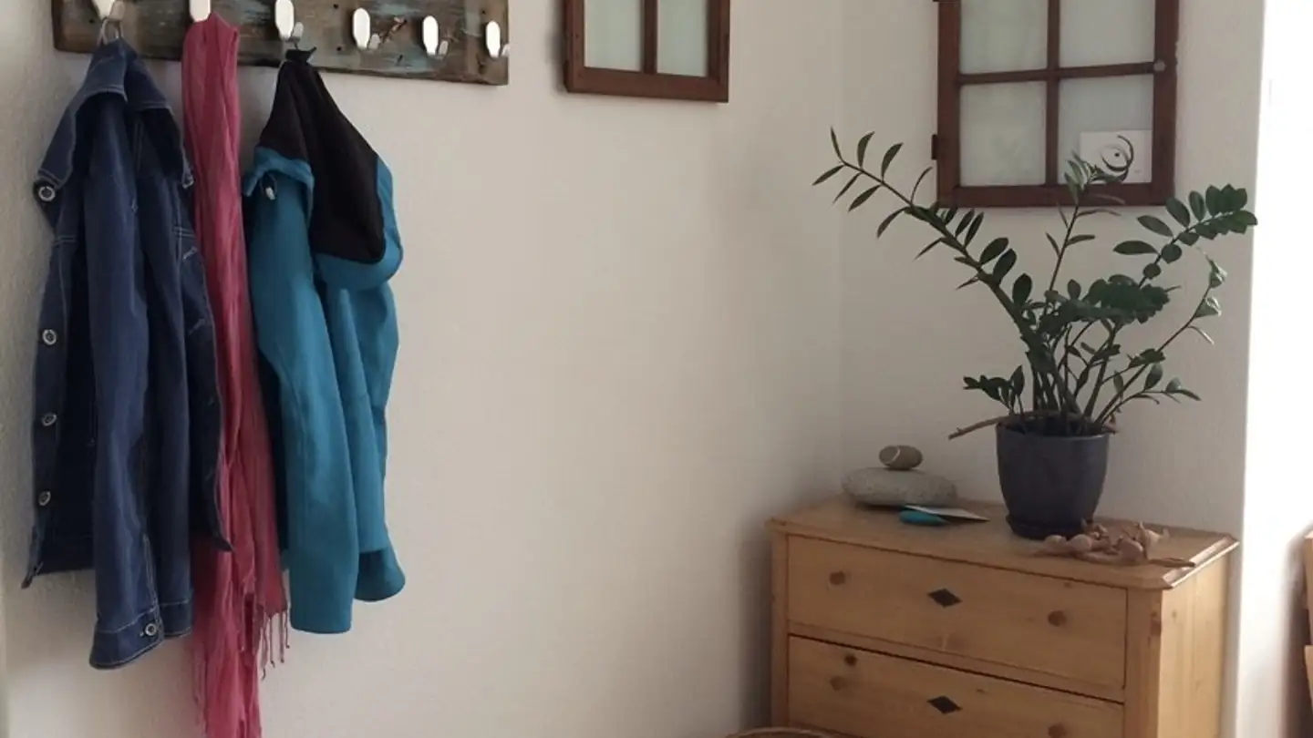 Apartment for rent - Tobelhof 9, 8134 Adliswil - Photo 3