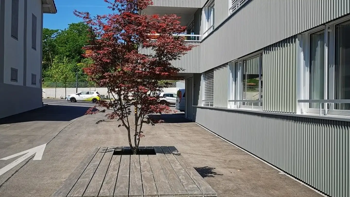 Wohnung mieten - Moschtiweg 3, 6212 St. Erhard