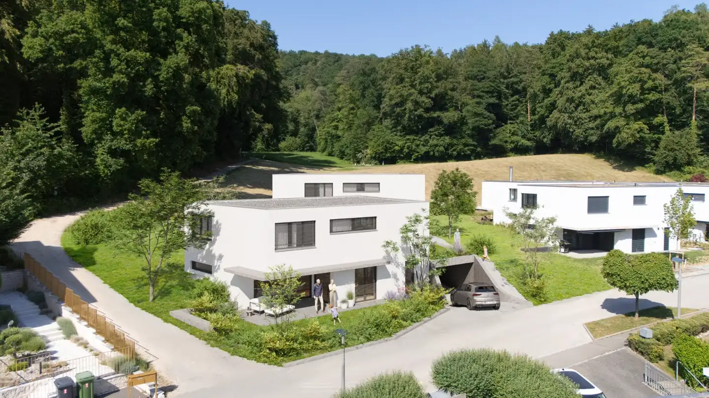 Einfamilienhaus kaufen - Erlenstrasse 22a, 8955 Oetwil an der Limmat