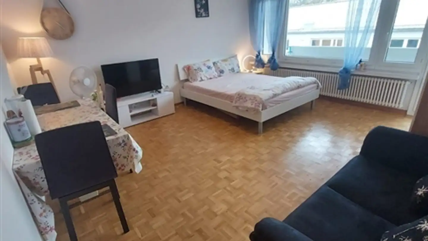 Furnished apartment for rent - Leepüntstrasse 16, 8600 Dübendorf