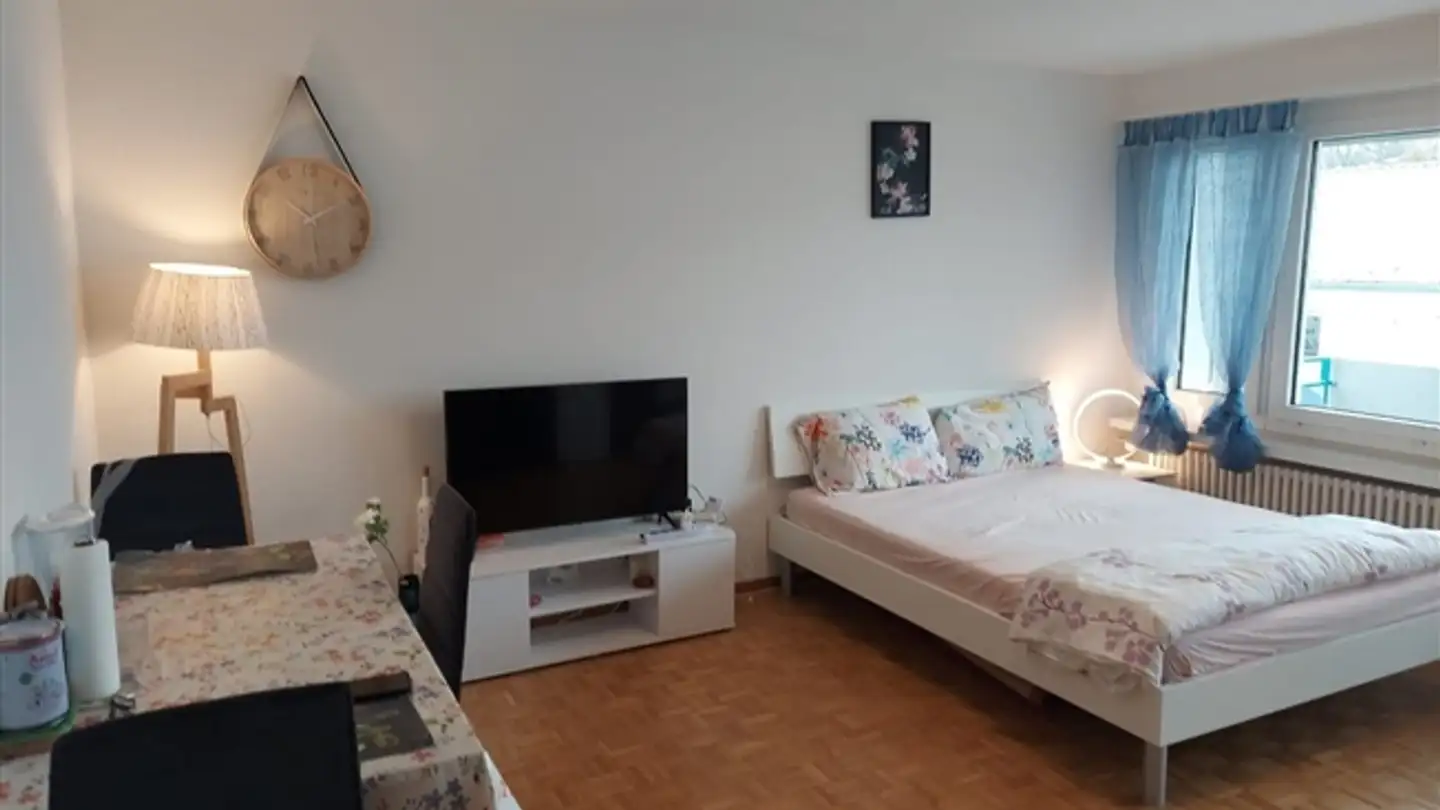 Furnished apartment for rent - Leepüntstrasse 16, 8600 Dübendorf - Photo 2