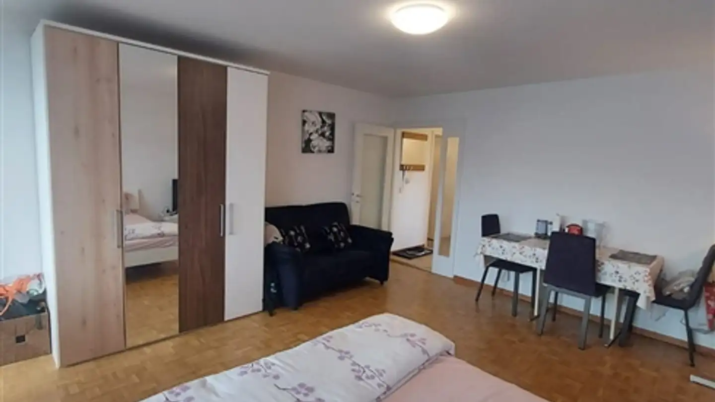 Furnished apartment for rent - Leepüntstrasse 16, 8600 Dübendorf - Photo 3