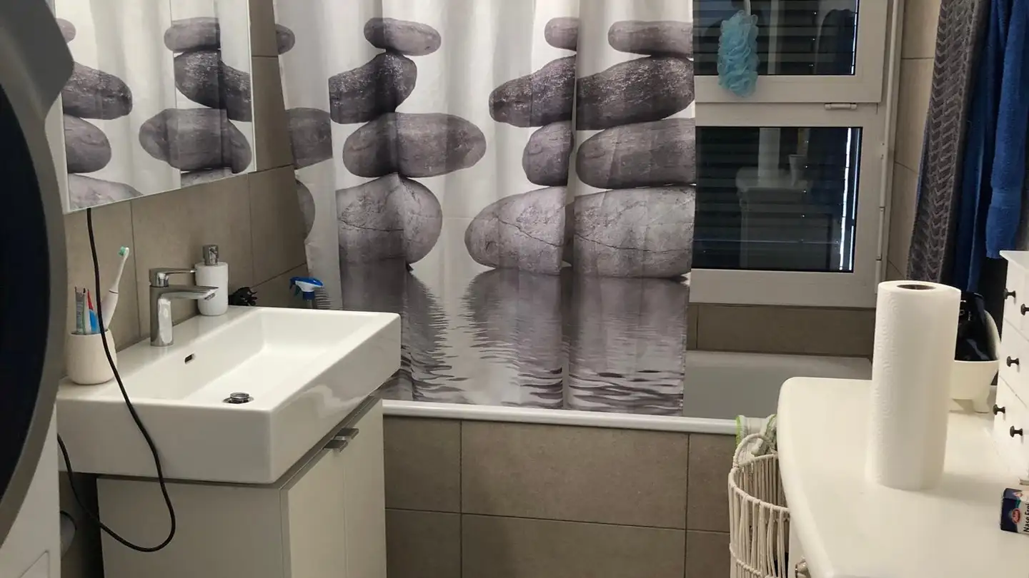 Appartamento in affitto - Zelgli 5, 8413 Neftenbach - Photo 4