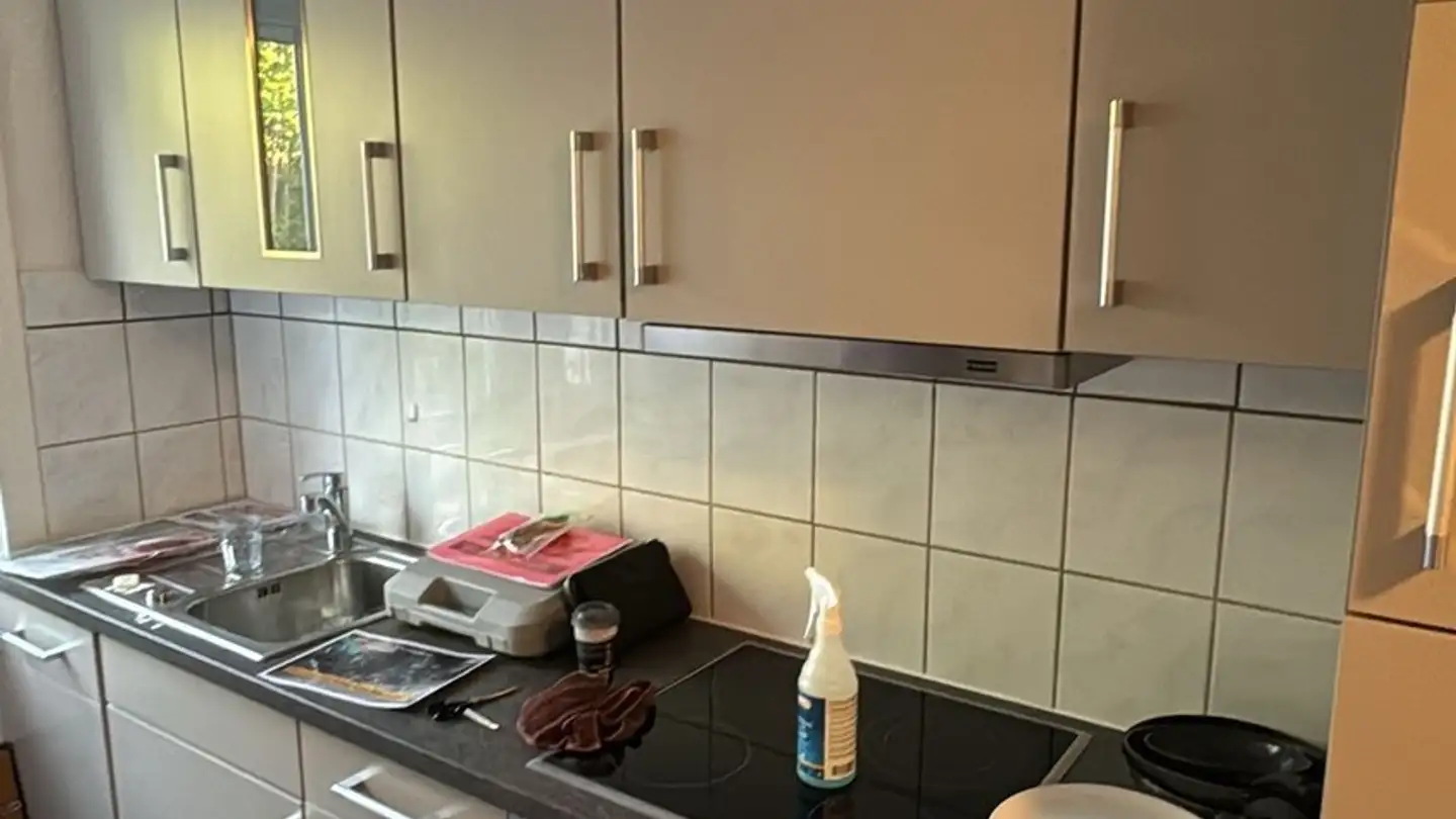 Single room for rent - Ahornstieg 2, 8200 Schaffhausen - Photo 4