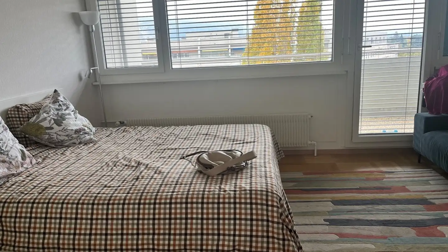 Appartamento in affitto - Chemin De La Gradelle, 1224 Chêne-Bougeries - Foto 3