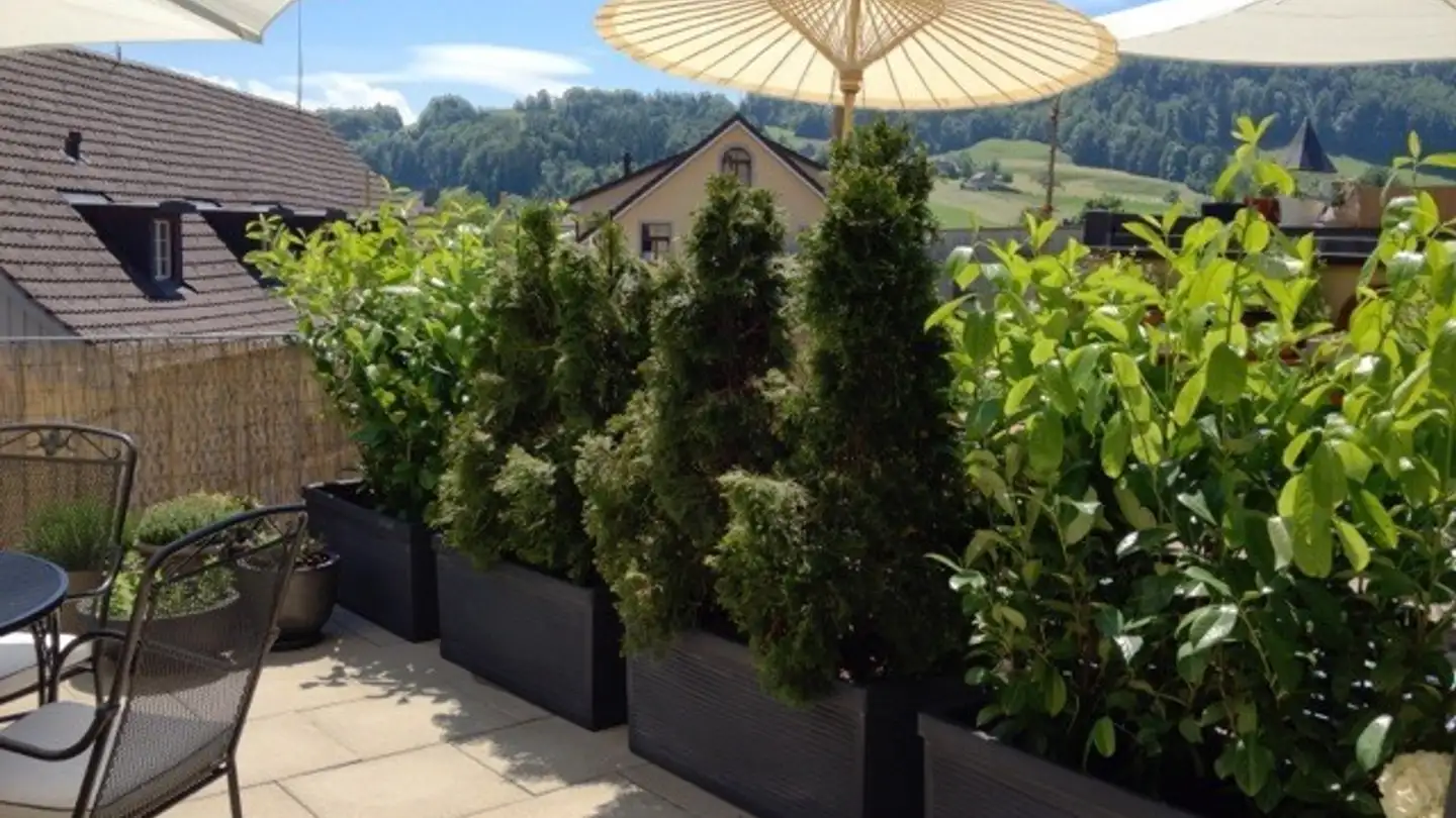 Loft for rent - Jonastrasse 11, 8636 Wald ZH