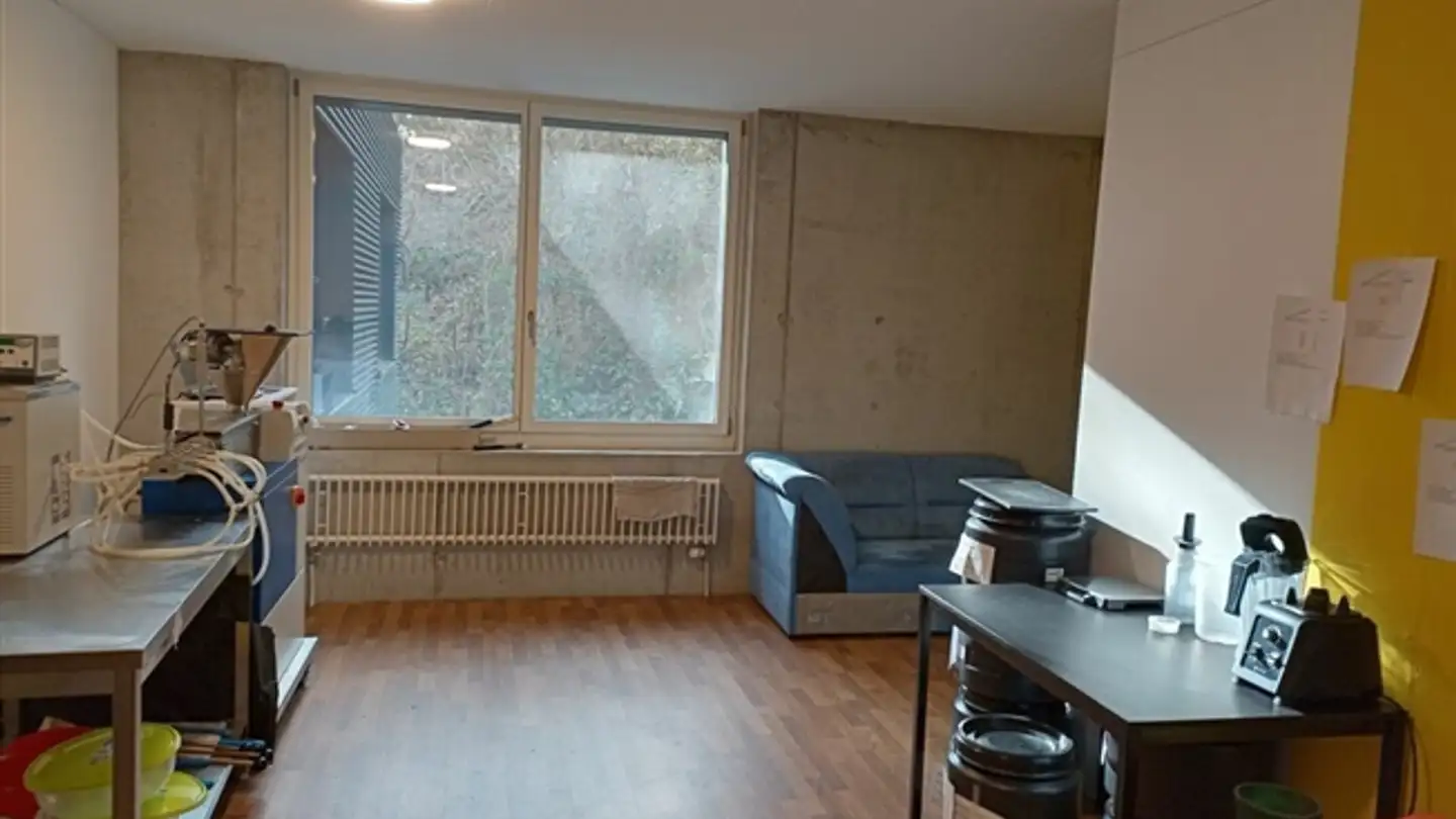 Commerciale in affitto - Bremgartenstrasse 11, 5634 Merenschwand - Photo 2