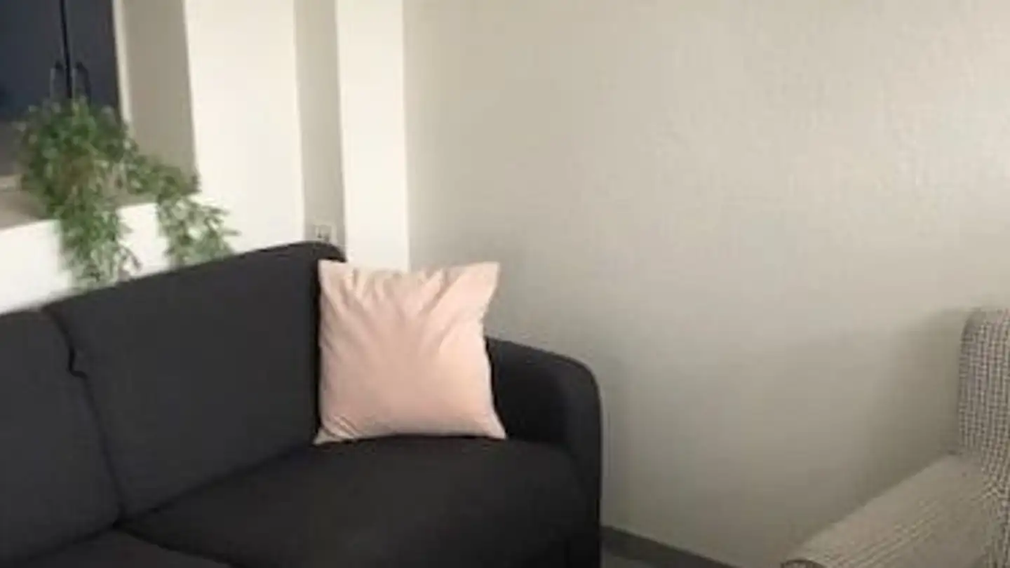 Furnished apartment for rent - Felsenrainstrasse 24, 8832 Wollerau - Photo 4