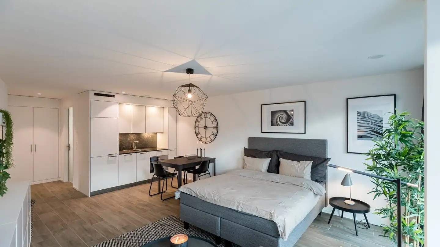 Appartamento in affitto - Am Stadtrand 56, 8600 Dübendorf - Foto 2