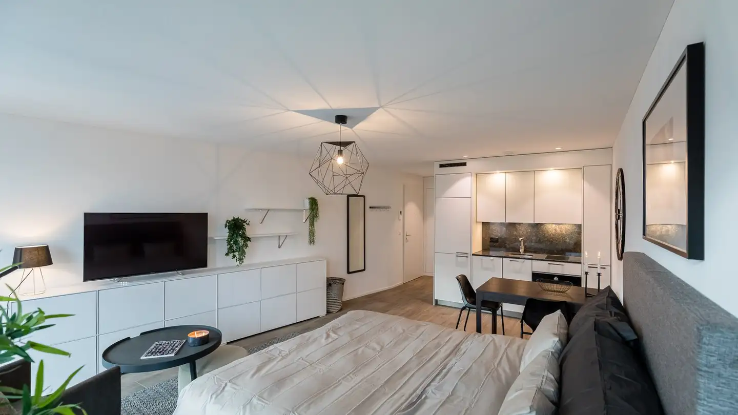 Appartamento in affitto - Am Stadtrand 56, 8600 Dübendorf - Foto 3