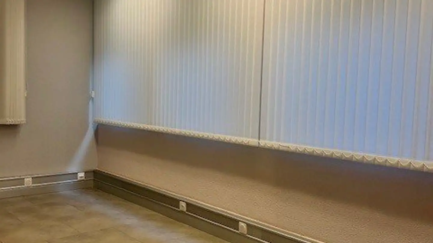 Grande magazzino in affitto - Avenue De Belmont 19, 1820 Montreux - Foto 2