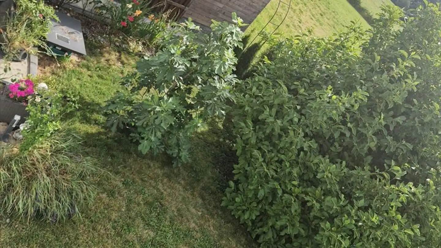 Casa singola in vendita - Ruelle De La Riétaz 5, 1354 Montcherand - Photo 4