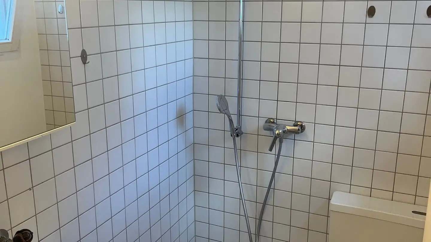 Attic flat for rent - Brodlaube, 4310 Rheinfelden - Photo 3