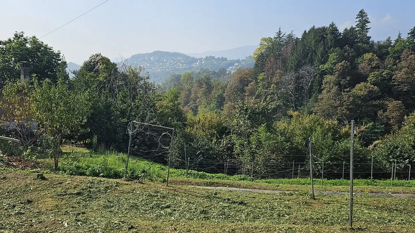 Terreno edificabile in vendita - Via Vecchio Tram, 6964 Davesco-Soragno - Photo 2