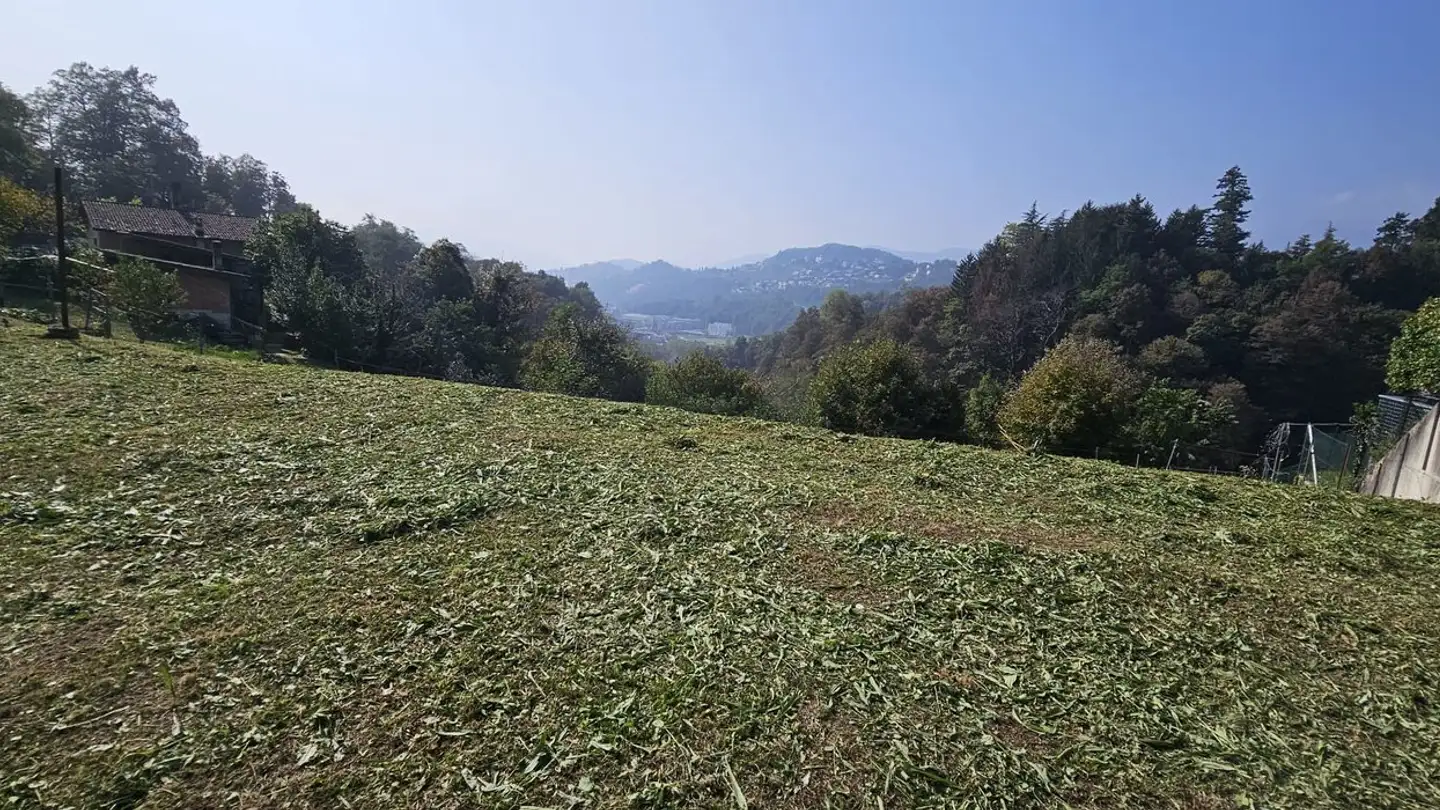 Terreno edificabile in vendita - Via Vecchio Tram, 6964 Davesco-Soragno - Photo 4