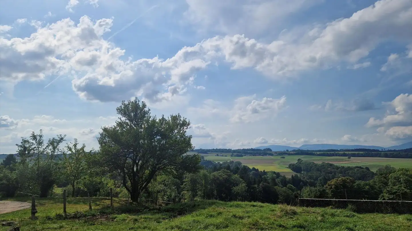 Appartamento in vendita - 1407 Bioley-Magnoux - Photo 2