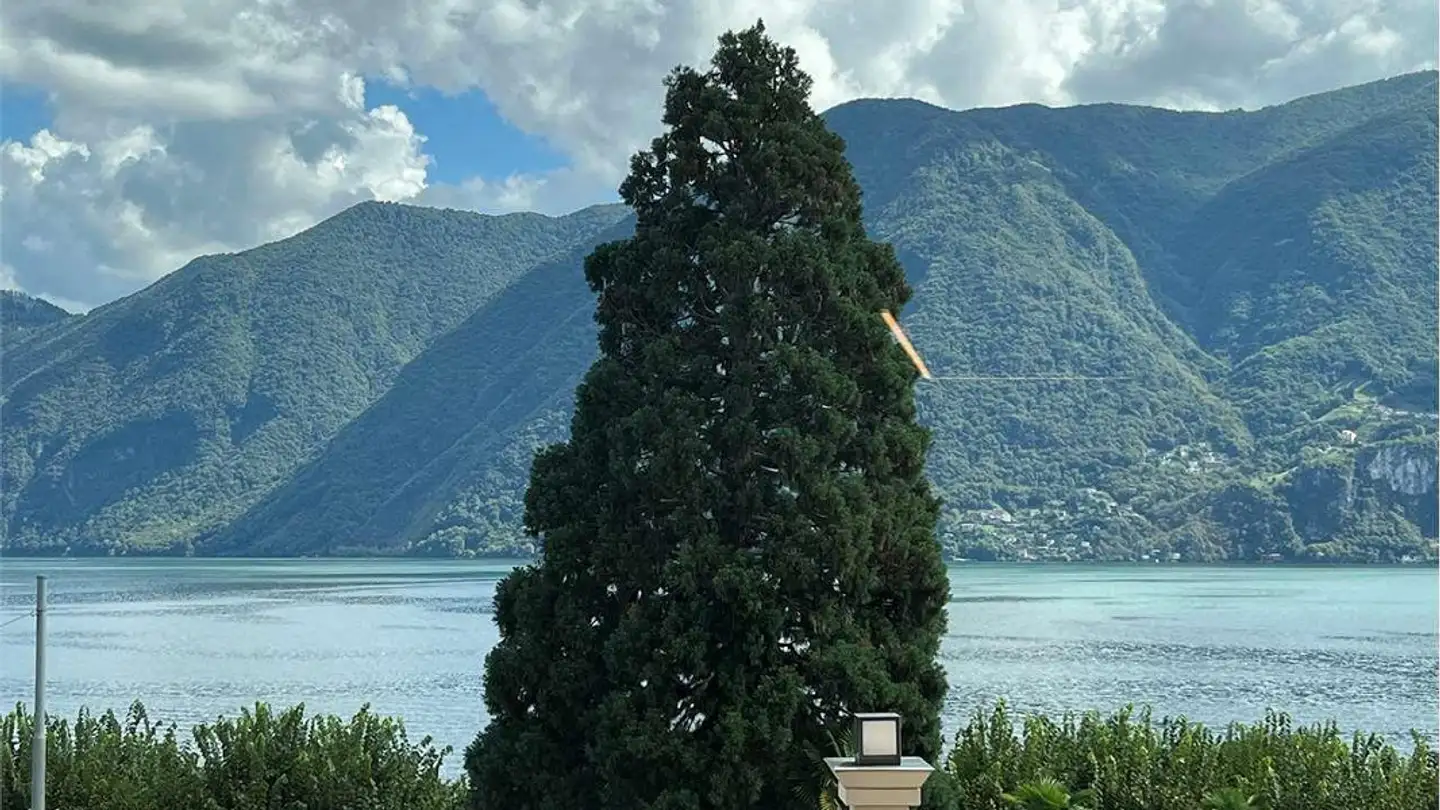 Apartment for sale - 6900 Lugano