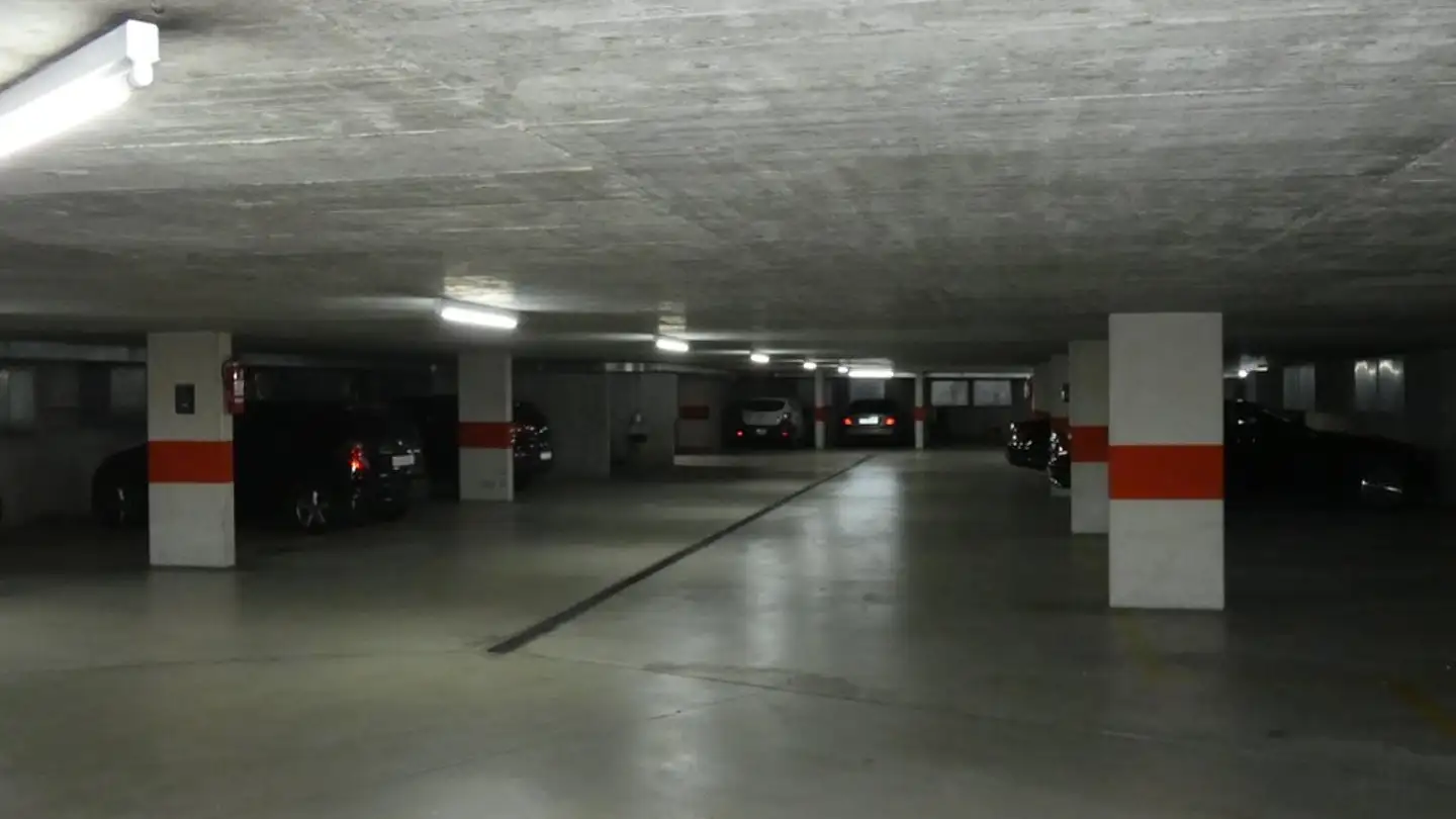 Single garage for rent - Dällikerstrasse, 8105 Regensdorf - Photo 2