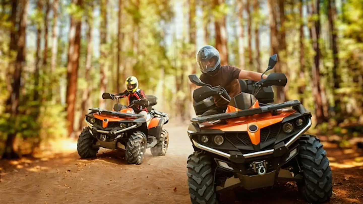 Gewerbe mieten - 1820 Montreux