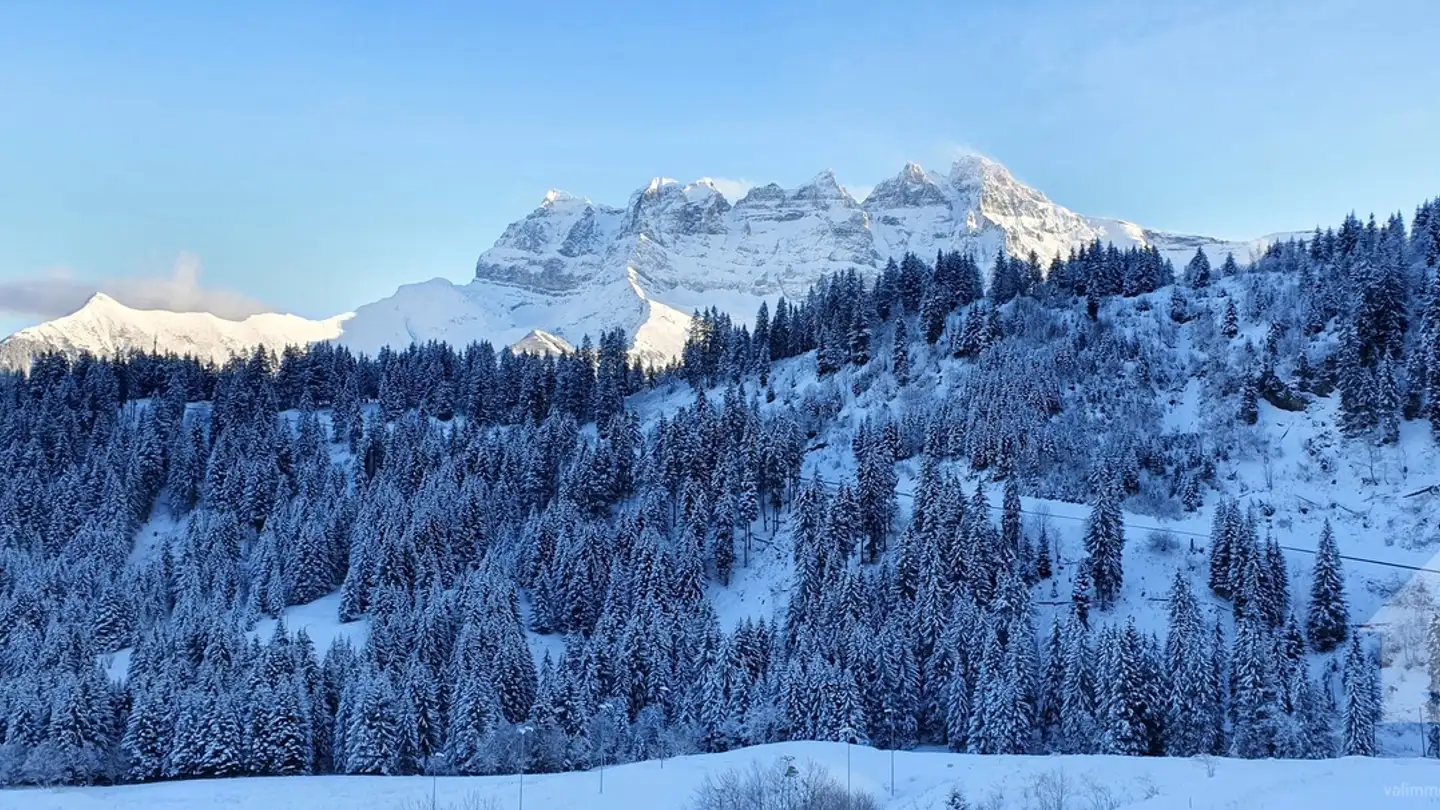 Wohnung kaufen - 1873 Champoussin - Foto 2
