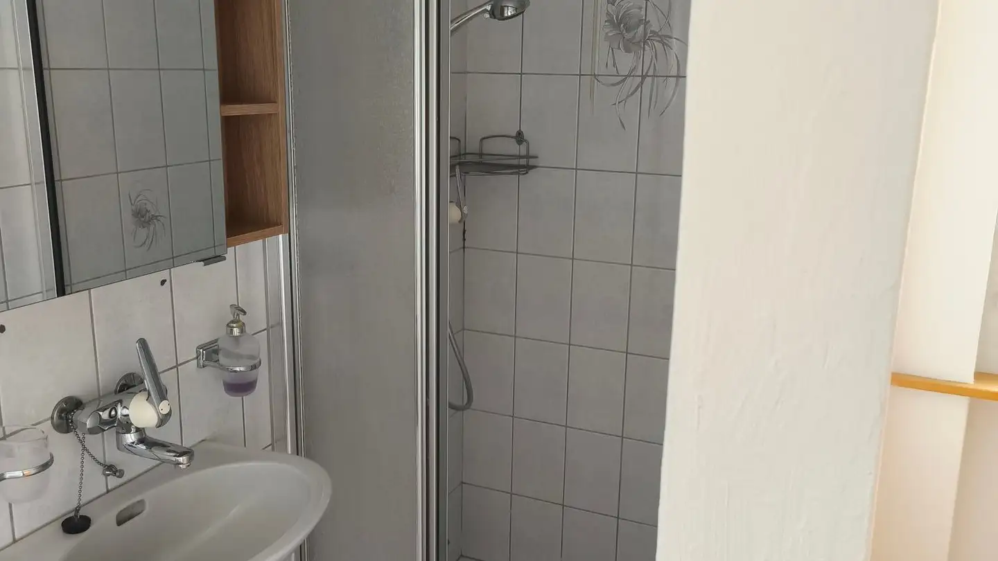 Studio in affitto - Elsisstrasse 3, 8248 Uhwiesen - Foto 4