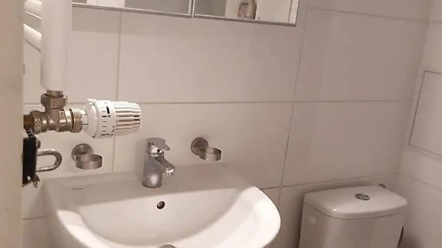 Single room for rent - Rue De L' Indiennerie 5, 1207 Genève - Photo 4