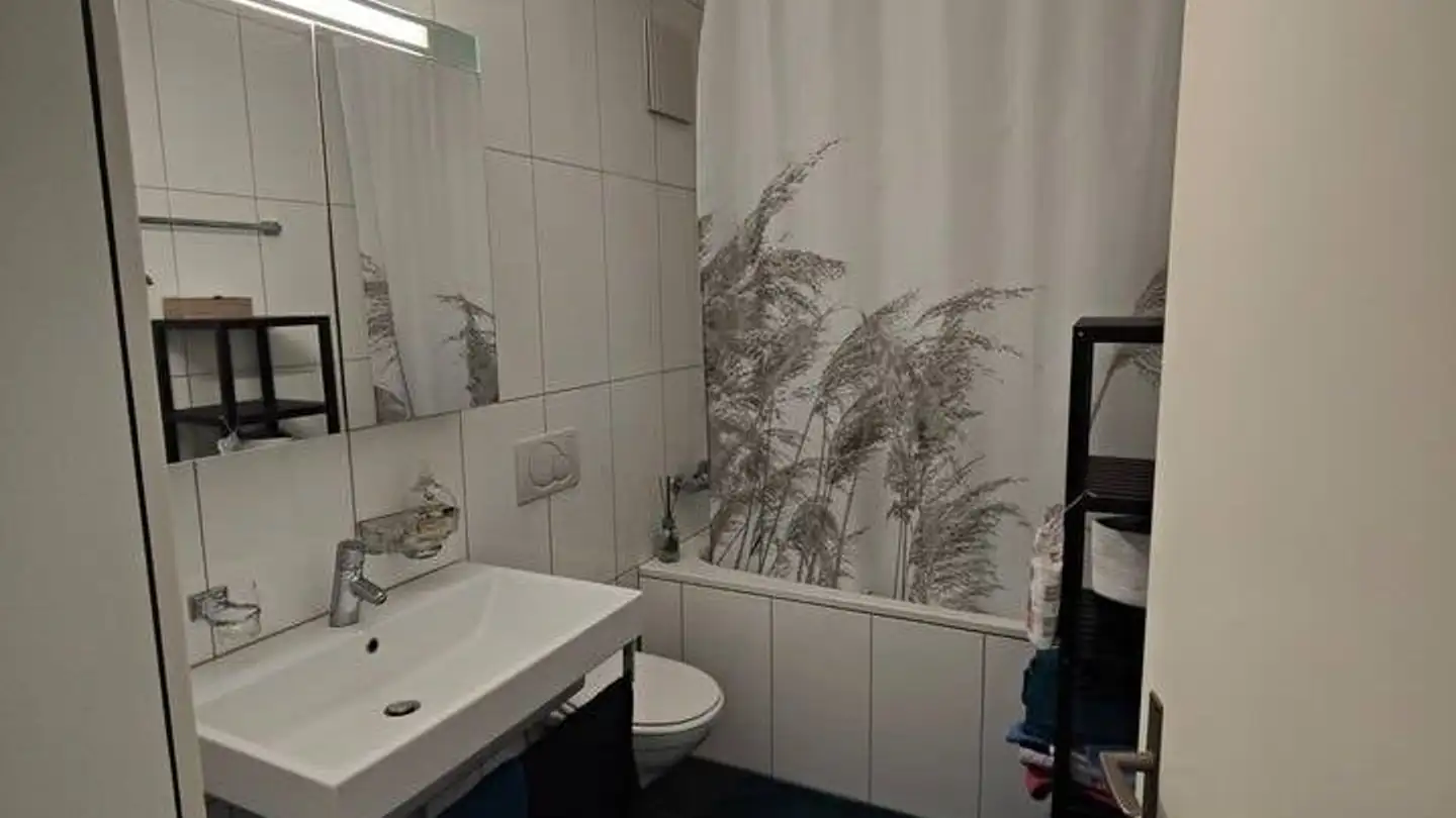 Appartamento ammobiliato in affitto - Grienbachstrasse, 6300 Zug