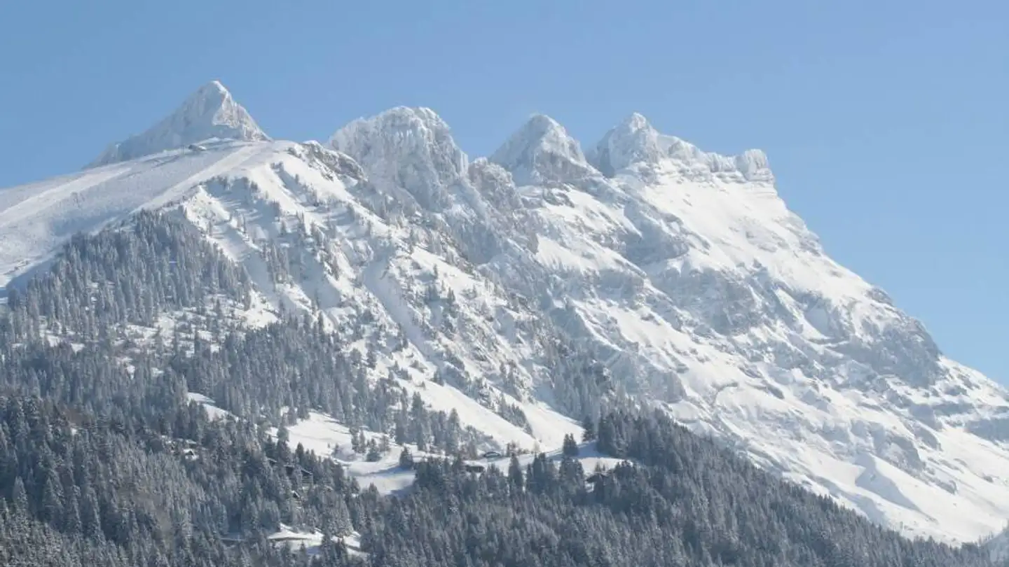 Terreno edificabile in vendita - 1884 Villars-sur-Ollon - Foto 3