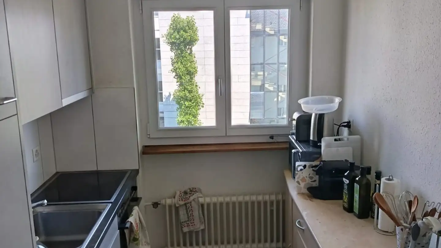 Chambre à louer - Zürcherstrasse 243, 8953 Dietikon - Photo 4