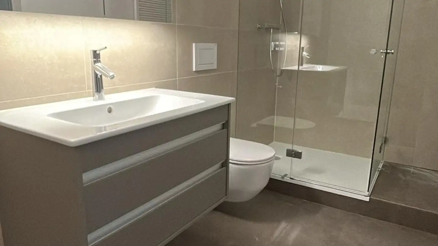 Attico in affitto - Widenmattstrasse 22, 4334 Sisseln AG - Foto 3