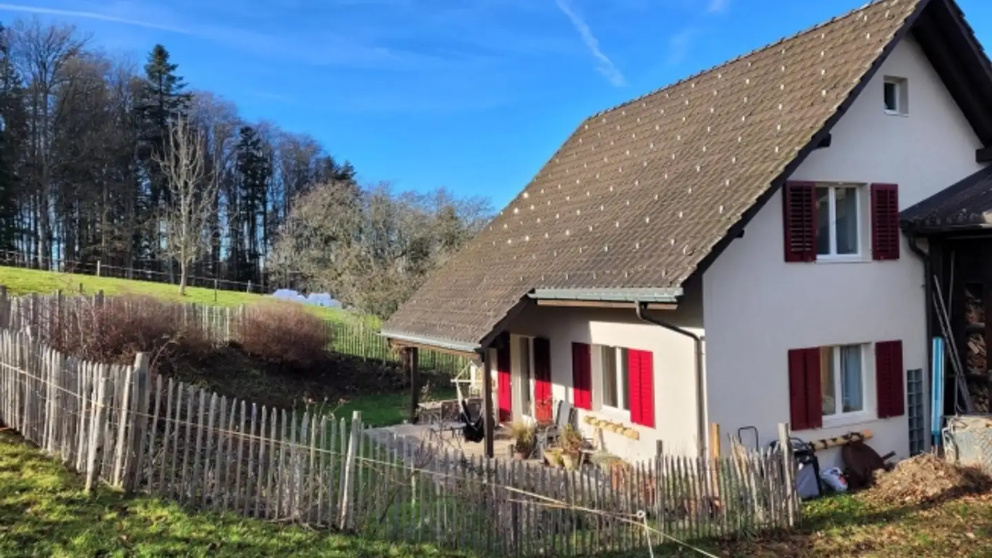 Appartamento in affitto - 8127 Forch - Photo 4